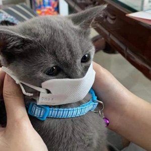 Meet your Posher, jules